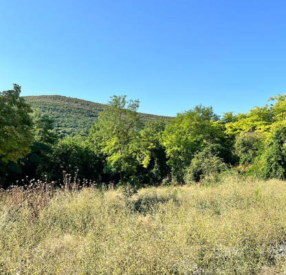 Photo 2 — Plot in Oblast Montana, Dolna Verenica