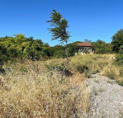 Photo 3 — Plot in Oblast Montana, Dolna Verenica