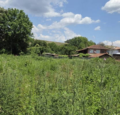 Снимка 2 — Парцел в Пловдив, с. Домлян