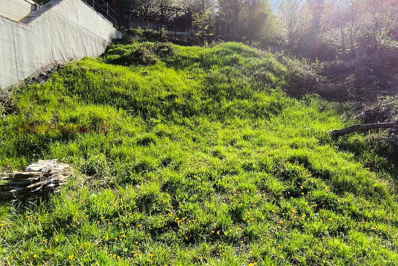 Plot in Oblast Pernik, Dragichevo