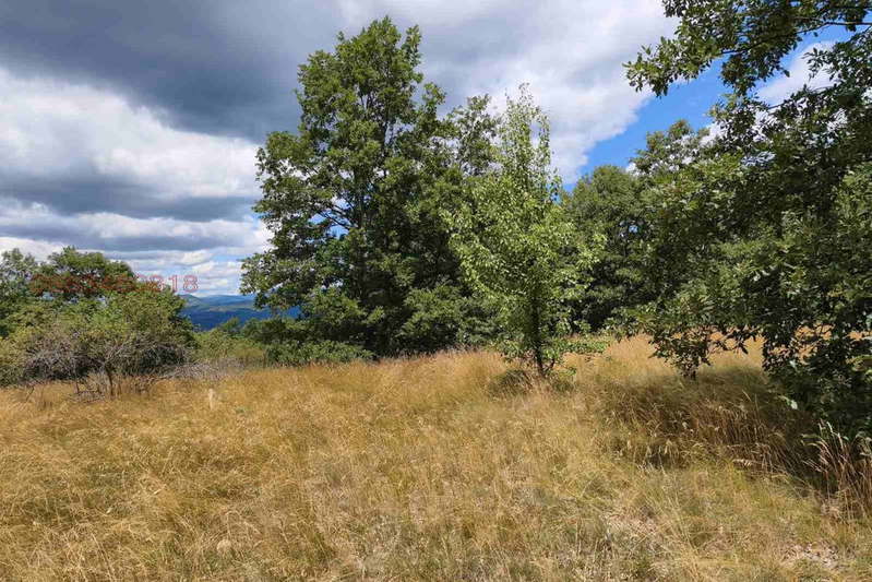 Plot in Sofia, Drenovo