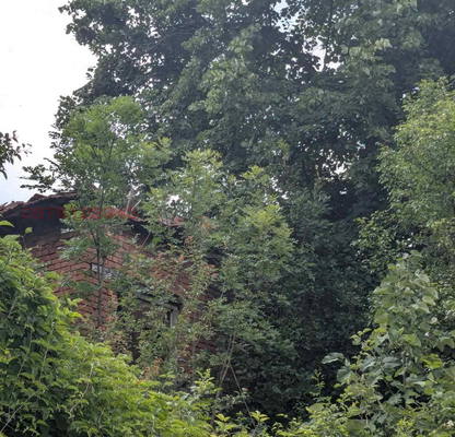 Photo 4 — Plot in Lovech, Dyben