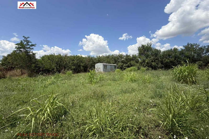 Plot in Oblast Pleven, с. Дъбован