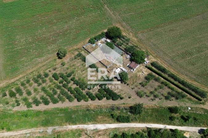 Plot in Oblast Varna, Dybravino