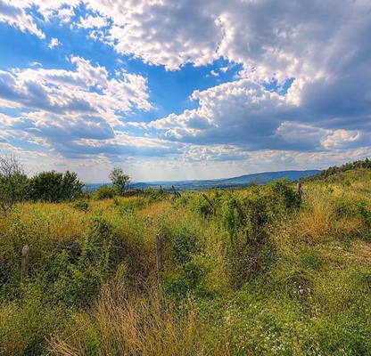 Снимка 2 — Парцел в Стара Загора, с. Дълбоки