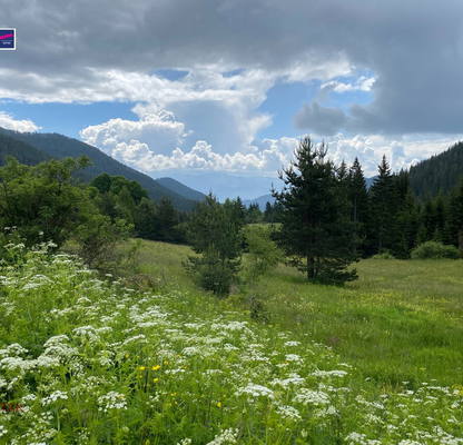 Photo 3 — Plot in Oblast Pazardjik, Fotinovo