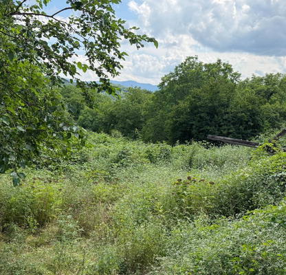 Снимка 2 — Парцел в Габрово, с. Генчовци (Габрово)