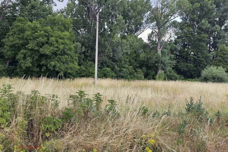 Plot in German