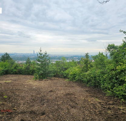 Photo 3 — Plot in German