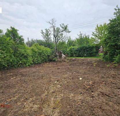 Photo 5 — Plot in German