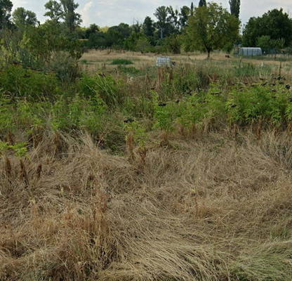 Photo 3 — Plot in German
