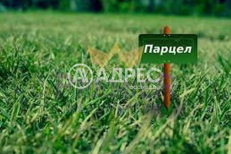 Парцел в София, с. Голяновци