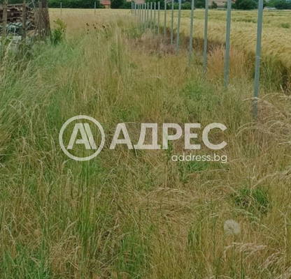 Снимка 3 — Парцел в София, с. Голяновци