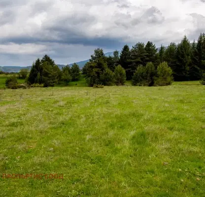 Photo 3 — Plot in област София, Govedarci