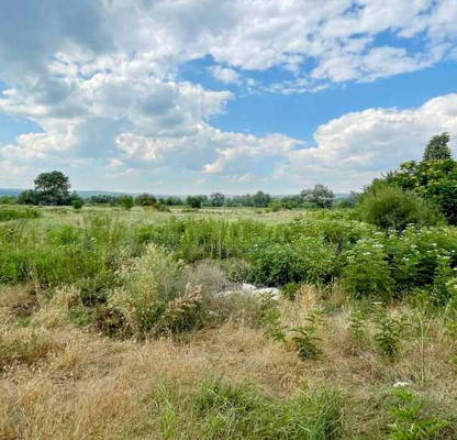 Photo 4 — Plot in Oblast Varna, Grozdiovo