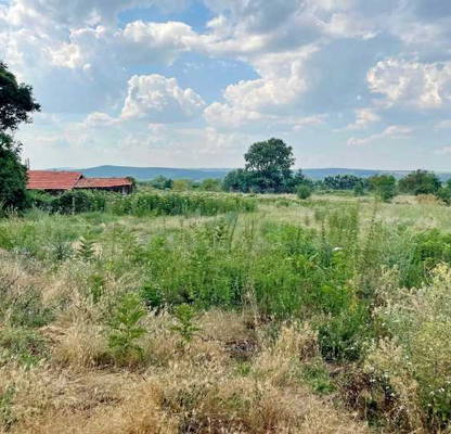 Photo 5 — Plot in Oblast Varna, Grozdiovo