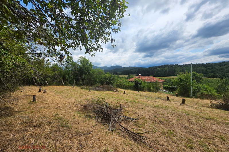 Plot in Oblast Lovech, Gumoshtnik