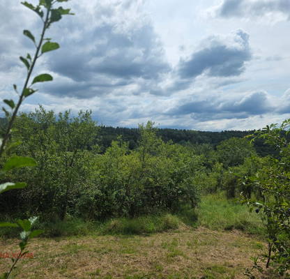 Photo 2 — Plot in Oblast Lovech, Gumoshtnik