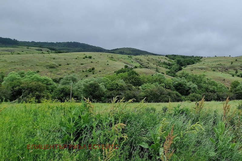 Plot in Oblast Pernik, Gyrlo