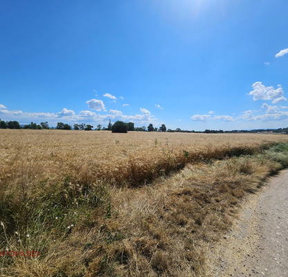 Photo 5 — Plot in област София, Herakovo