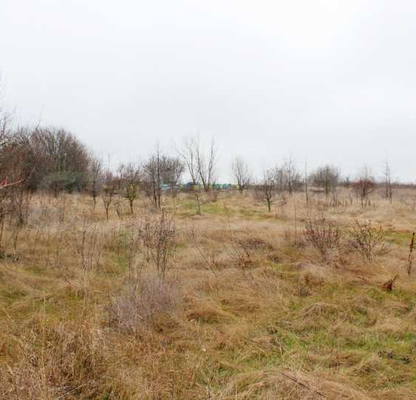 Photo 3 — Plot in Dobrich, Hrabrovo