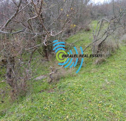 Photo 5 — Plot in Oblast Plovdiv, Ivan Vazovo