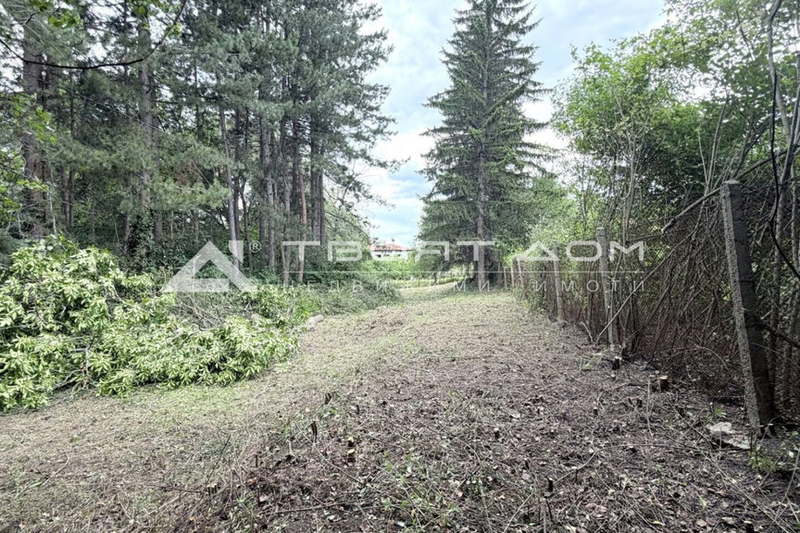 Plot in Ivanyane