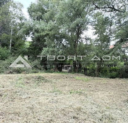 Photo 2 — Plot in Ivanyane