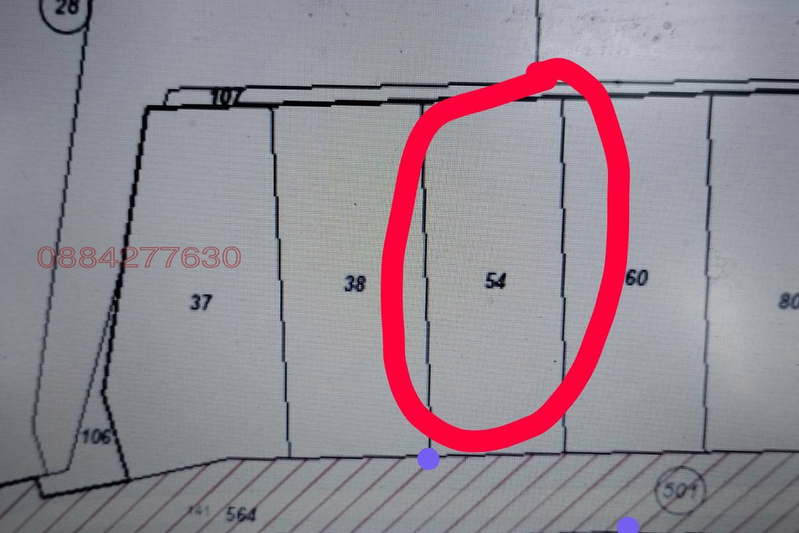 Plot in Izvor