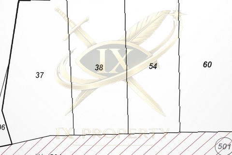 Plot in Izvor