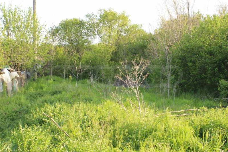 Plot in Oblast Dobrich, Izvorovo