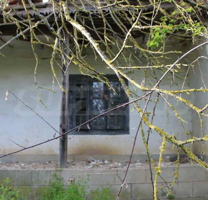 Photo 5 — Plot in Oblast Dobrich, Izvorovo