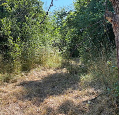 Photo 2 — Plot in Oblast Pernik, Jedna