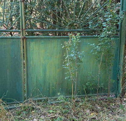 Photo 4 — Plot in Oblast Pernik, Jedna