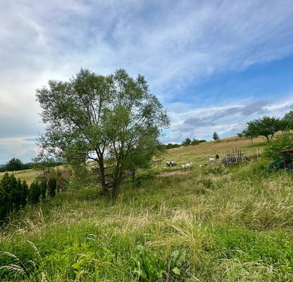 Photo 3 — Plot in Jeleznica