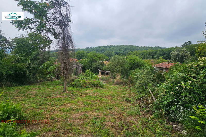 Plot in Oblast Lovech, Kazachevo
