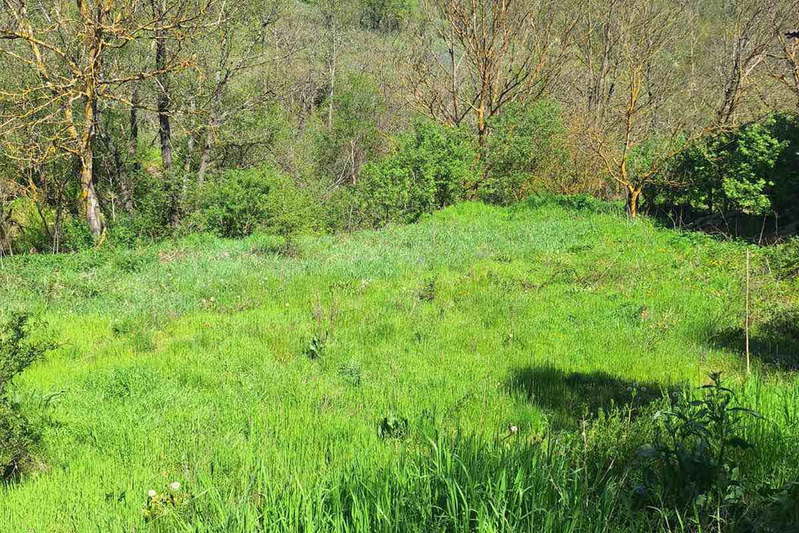 Plot in Oblast Stara Zagora, Kazanka