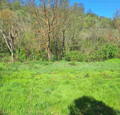 Photo 2 — Plot in Oblast Stara Zagora, Kazanka
