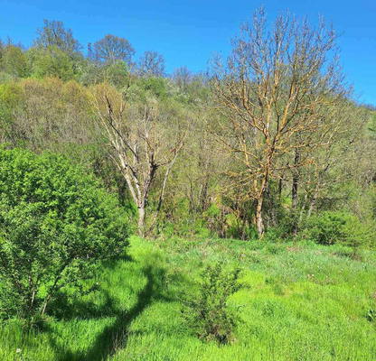 Photo 3 — Plot in Oblast Stara Zagora, Kazanka