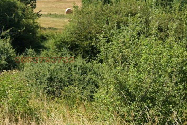 Plot in Oblast Pernik, Kladnica