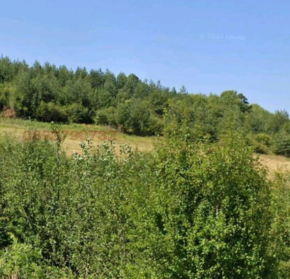 Photo 5 — Plot in Oblast Pernik, Kladnica
