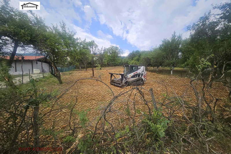 Plot in Oblast Pernik, Klenovik