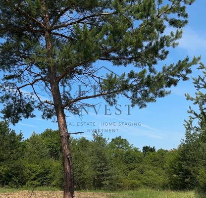 Photo 2 — Plot in Klisura