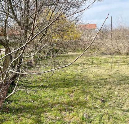 Photo 5 — Plot in Oblast Dobrich, Kochmar