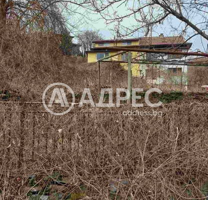 Photo 3 — Plot in Kokalyane