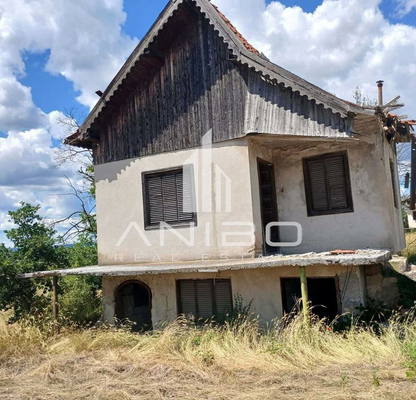 Photo 3 — Plot in Konstantinovo