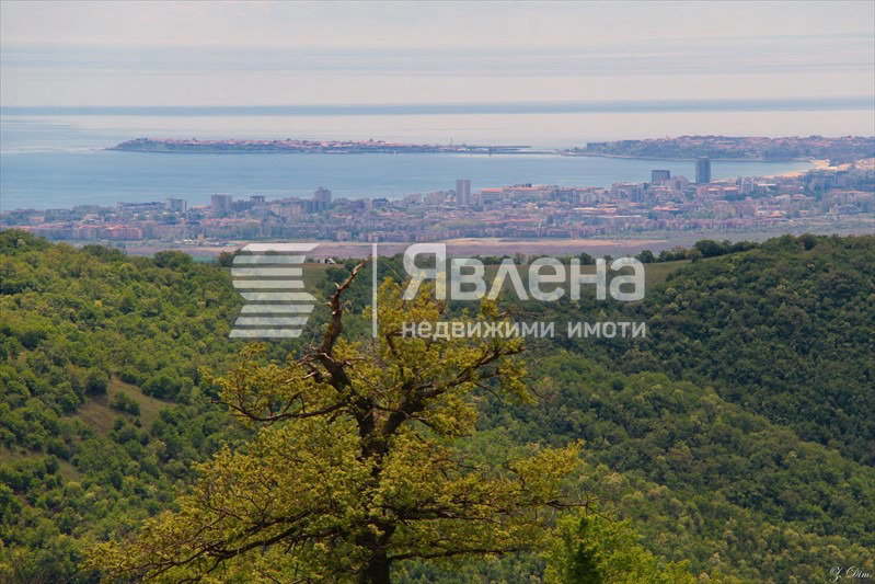 Plot in Oblast Burgas, Kosharica