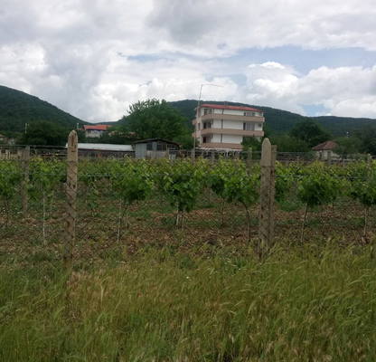 Photo 5 — Plot in Oblast Burgas, Kosharica
