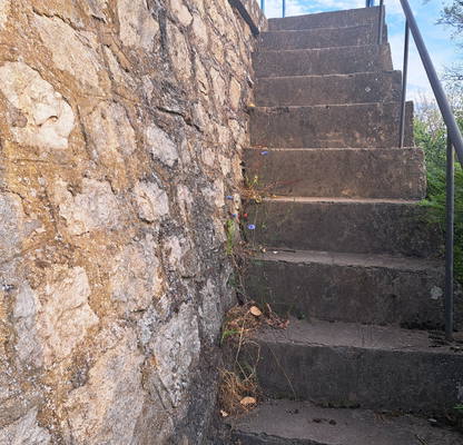 Photo 2 — Plot in Oblast Vidin, с. Кошава
