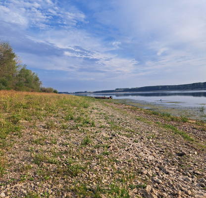 Photo 4 — Plot in Oblast Vidin, с. Кошава